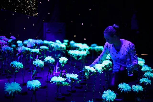 Cascade of Lights