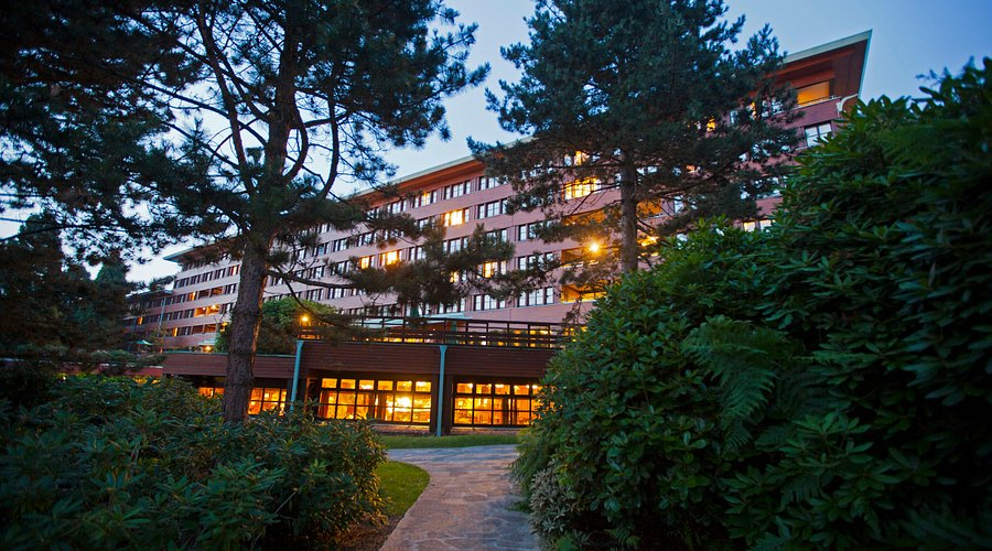 Disney Sequoia Lodge